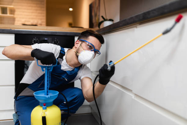 Best Best Pest Control Companies  in Angleton, TX
