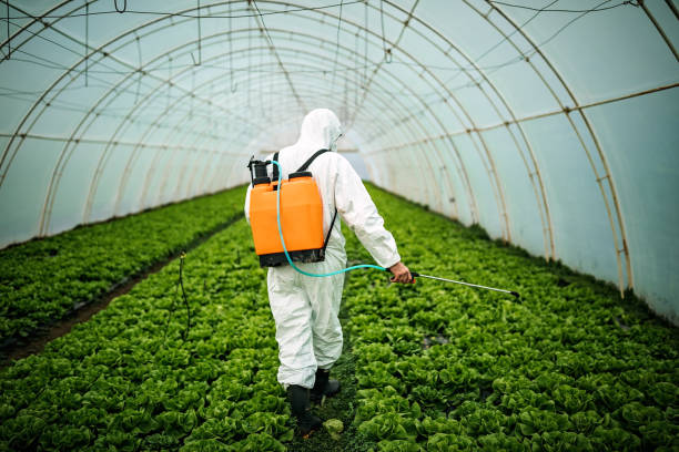 Best Mosquito Control Services  in Angleton, TX
