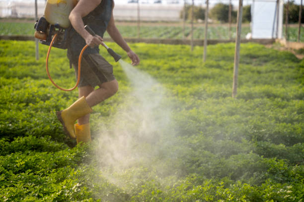 Professional Pest Control in Angleton, TX