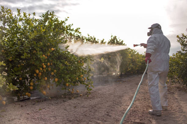 Best Exterminator Services  in Angleton, TX