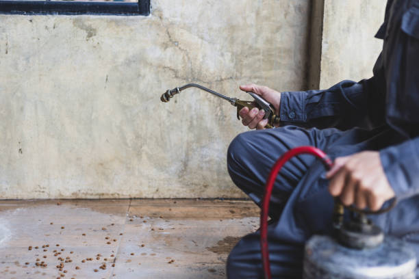Best Pest Inspection Near Me  in Angleton, TX